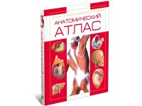 Анатомический атлас. Основы строения и физиологии человека