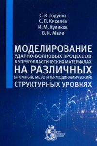 Моделирование ударно-волновых процессов в упругопластических материалах на различных (атомный, мезо и термодинамический) структурных уровнях