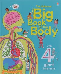 The Usborne Big Book of the Body