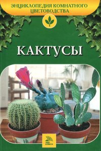 Кактусы