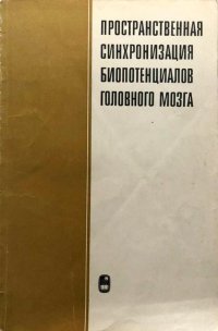 Пространственная синхронизация биопотенциалов головного мозга