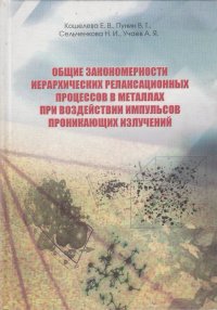 Общие закономерности иерархических релаксационных процессов в металлах при воздействии импульсов проникающих излучений