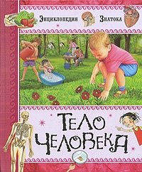 Тело человека