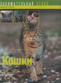 Кошки