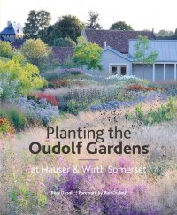 The Oudolf Gardens at Durslade Farm: Plants and Planting