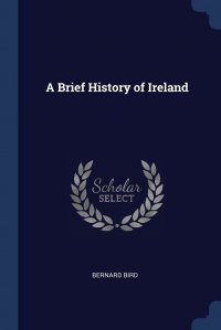 A Brief History of Ireland