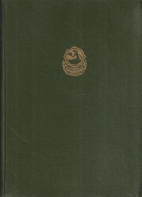 Динка. Повесть в 2 книгах. Книга первая