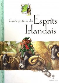 Guide pratique des esprits Irlandais