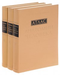 Атлас анатомии человека. В 3 томах (комплект)  Синельников Рафаил Давыдович