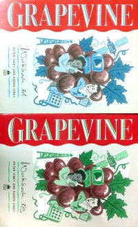 Grapevine (комплект из 2 книг). Workbook 3A. Workbook 3B