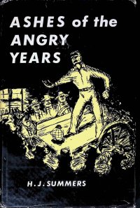 Ashes of the angry years: A novel