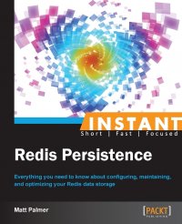 Instant Redis Persistence