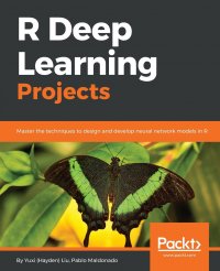 R Deep Learning Projects