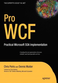 Pro WCF. Practical Microsoft SOA Implementation