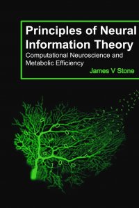 Principles of Neural Information Theory. Computational Neuroscience and Metabolic Efficiency