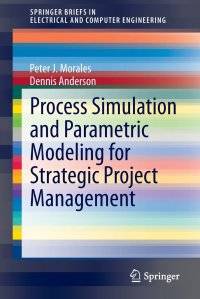 Process Simulation and Parametric Modeling for Strategic Project Management