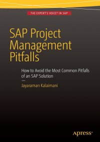 SAP Project Management Pitfalls. How to Avoid the Most Common Pitfalls of an SAP Solution