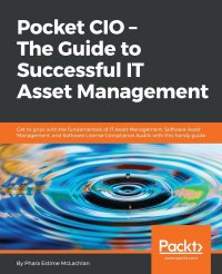 Pocket CIO. The Guide to Successful IT Asset Management