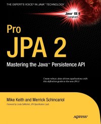 Pro JPA 2. Mastering the Java. Persistence API