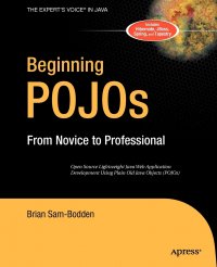 Beginning Pojos. From Novice to Professional