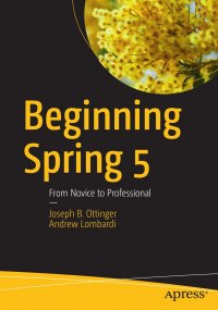 Beginning Spring 5. From Novice to Professional