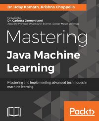 Mastering Java Machine Learning. A Java developer's guide to implementing machine learning and big data architectures