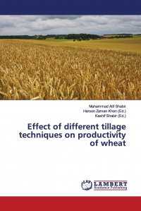 Effect of Different Tillage Techniques on Productivity of Wheat