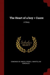 The Heart of a boy . Cuore. A Story