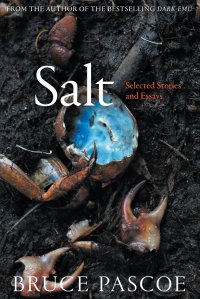 Salt. Selected Stories and Essays