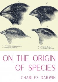 On the Origin of Species. A work of scientific literature by Charles Darwin which is considered to be the foundation of evolutionary biology and introduced the scientific theory that populati