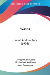 Wasps. Social And Solitary (1905)