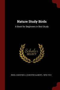 Nature Study Birds. A Book for Beginners in Bird Study