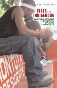 Black and Indigenous. Garifuna Activism and Consumer Culture in Honduras