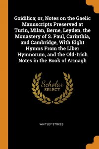 Goidilica; or, Notes on the Gaelic Manuscripts Preserved at Turin, Milan, Berne, Leyden, the Monastery of S. Paul, Carinthia, and Cambridge, With Eight Hymns From the Liber Hymnorum, and the