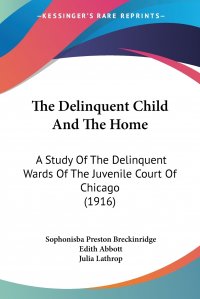 The Delinquent Child And The Home. A Study Of The Delinquent Wards Of The Juvenile Court Of Chicago (1916)