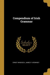 Compendium of Irish Grammar