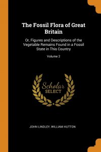 The Fossil Flora of Great Britain. Or, Figures and Descriptions of the Vegetable Remains Found in a Fossil State in This Country; Volume 2