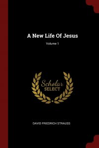 A New Life Of Jesus; Volume 1