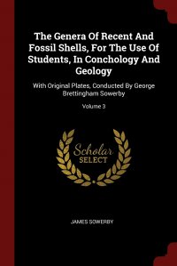 The Genera Of Recent And Fossil Shells, For The Use Of Students, In Conchology And Geology. With Original Plates, Conducted By George Brettingham Sowerby; Volume 3