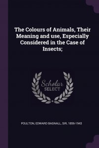 The Colours of Animals, Their Meaning and use, Especially Considered in the Case of Insects;