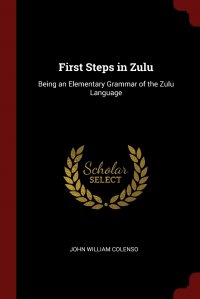 First Steps in Zulu. Being an Elementary Grammar of the Zulu Language