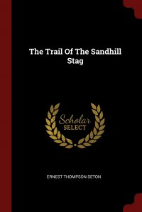 The Trail Of The Sandhill Stag