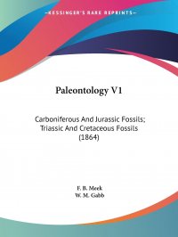 Paleontology V1. Carboniferous And Jurassic Fossils; Triassic And Cretaceous Fossils (1864)