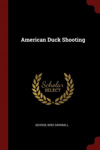 American Duck Shooting