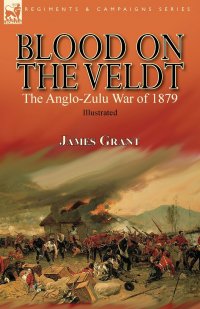 Blood on the Veldt. the Anglo-Zulu War of 1879