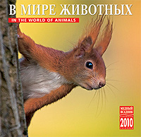 Календарь 2010 (на скрепке). В мире животных