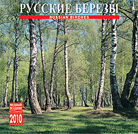 Календарь 2010 (на скрепке). Русские березы