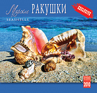 Календарь 2010 (на скрепке). Морские ракушки