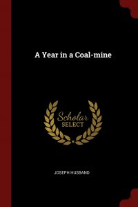 Joseph Husband - «A Year in a Coal-mine»