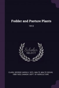 Fodder and Pasture Plants. 1913